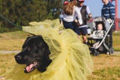 AnnaMunandarPhotography_20250504-ChickMission-6844srgb