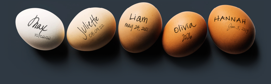 row of eggs with names and birthdates written on them