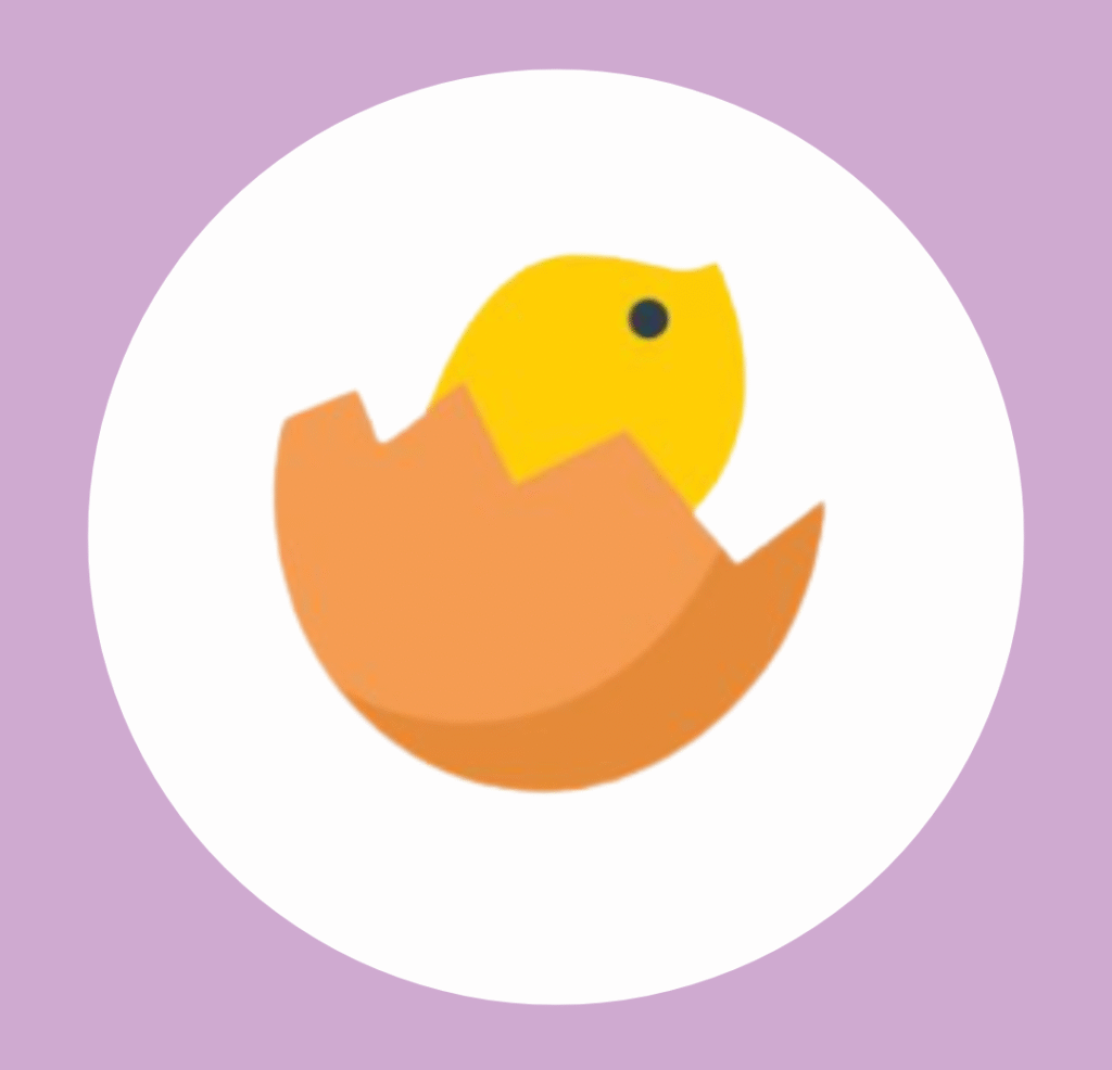 Student Ambassador Program Chick MissionChick Mission student-ambassador-program-chick-missionchick-mission